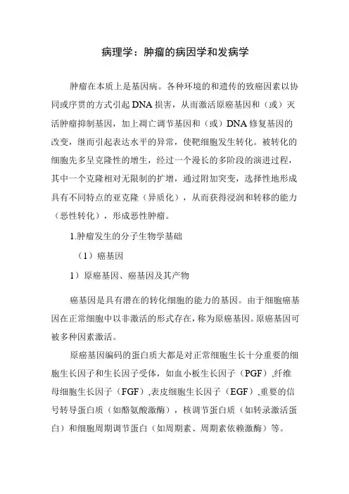病理学：肿瘤的病因学和发病学