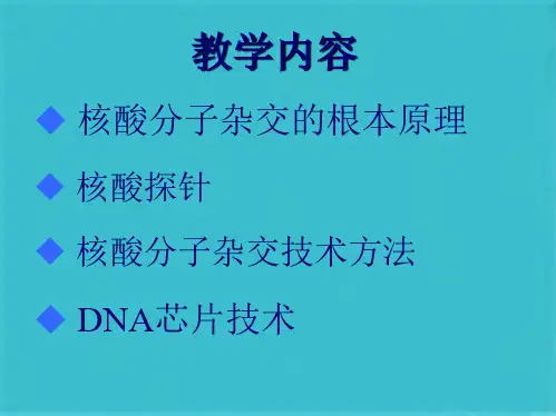 核酸分子杂交及芯片技术(共68张PPT)