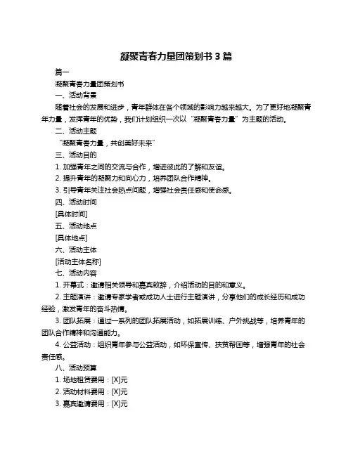 凝聚青春力量团策划书3篇