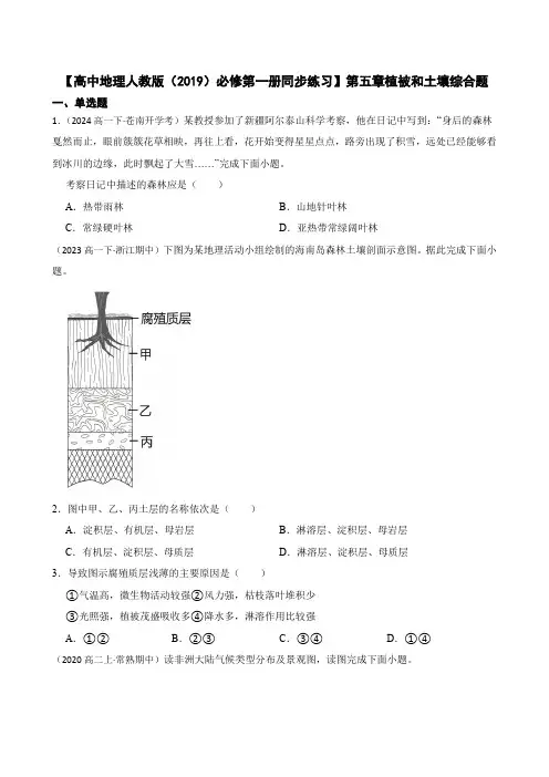 【高中地理人教版(2019)必修第一册同步练习】第五章植被和土壤综合题(含答案)