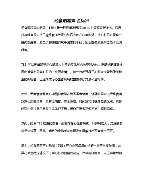 经食道超声 金标准