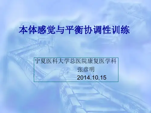 本体感觉与平衡协调性训练