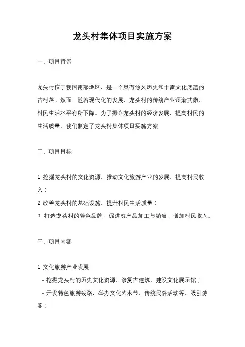 龙头村集体项目实施方案