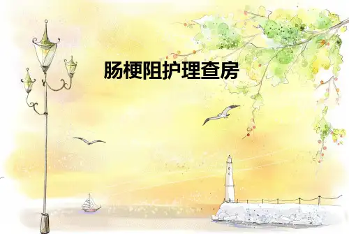 肠梗阻护理查房ppt课件