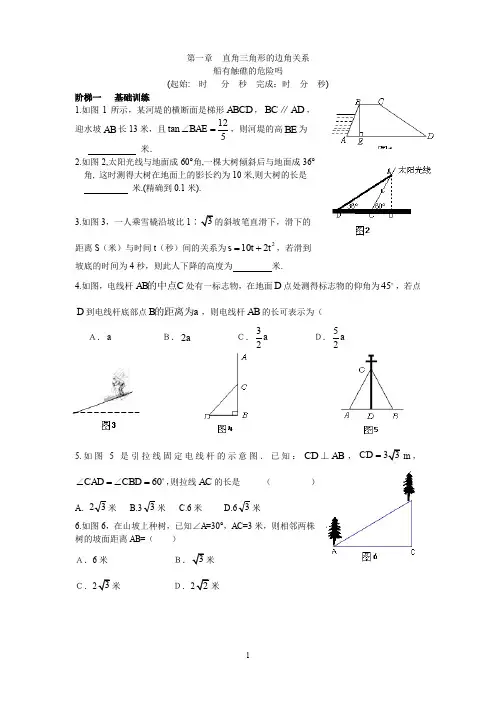 北师大版九年级下册数学1.4 船有触礁的危险吗 同步练习2