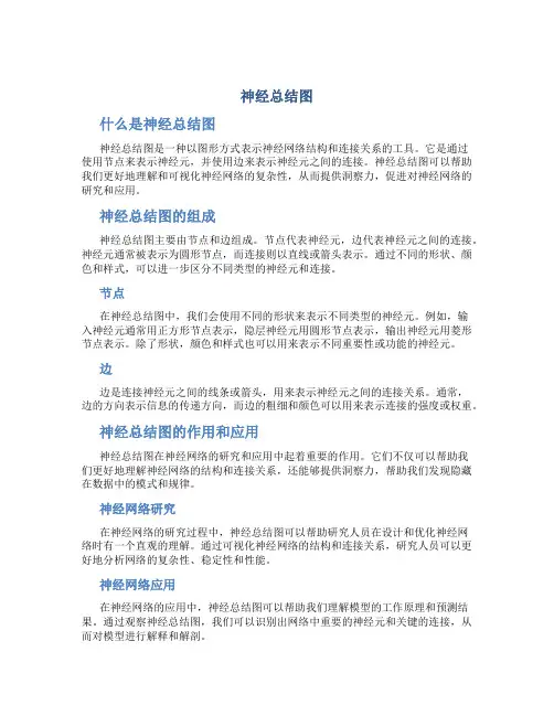 神经总结图