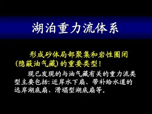 陆相沉积学-第六章：湖泊重力流体系