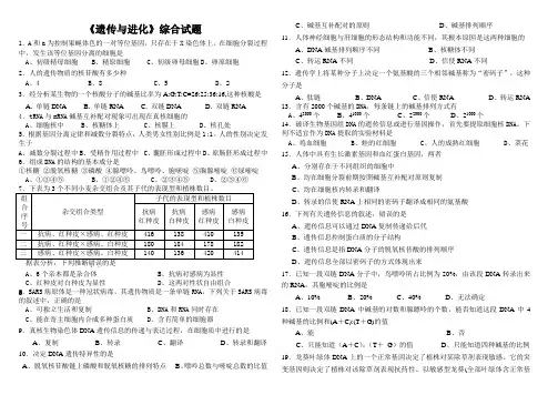 遗传与进化综合练习(附答案)