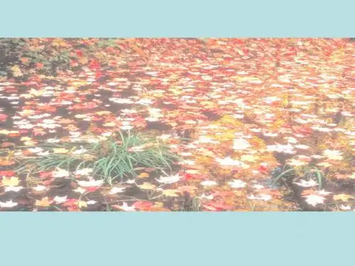 【高中语文】秋声赋ppt精品课件12