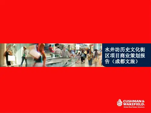 水井坊历史文化街区项目商业策划报告(PPT文档)