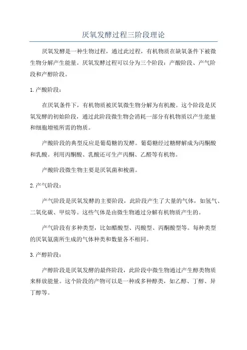 厌氧发酵过程三阶段理论