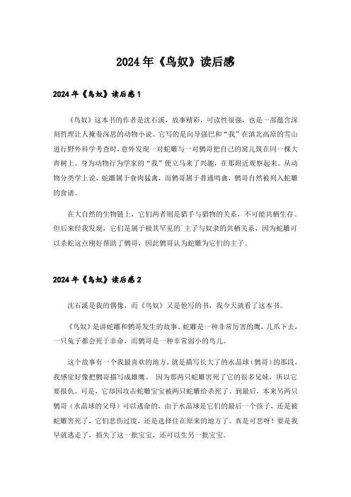 2024年《鸟奴》读后感_2