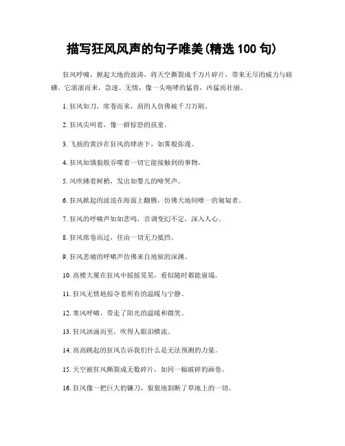 描写狂风风声的句子唯美(精选100句)