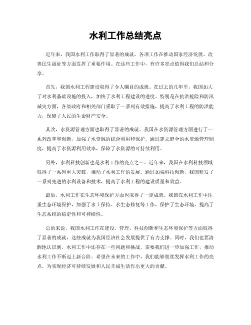 水利工作总结亮点