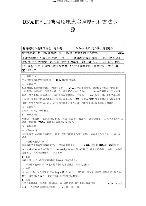 DNA琼脂糖凝胶电泳实验原理和方法步骤