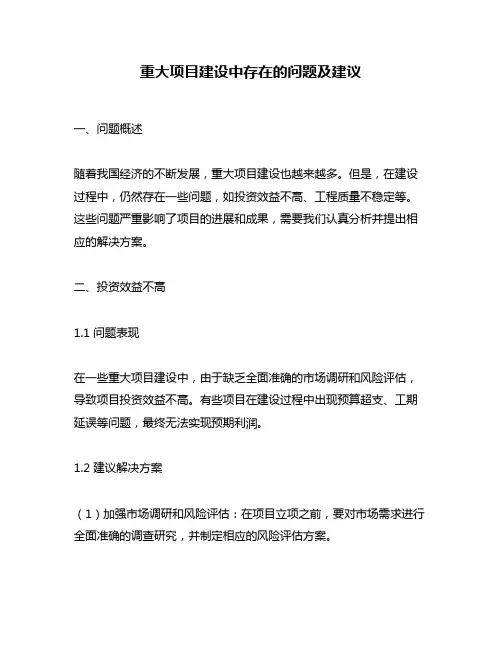 重大项目建设中存在的问题及建议