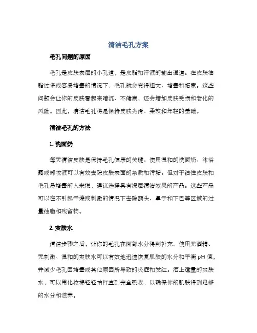 清洁毛孔方案