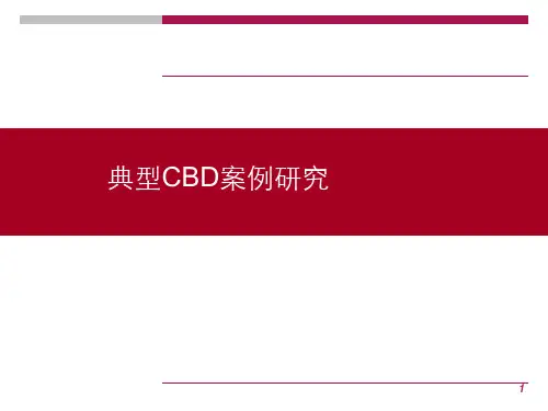 典型CBD案例研究