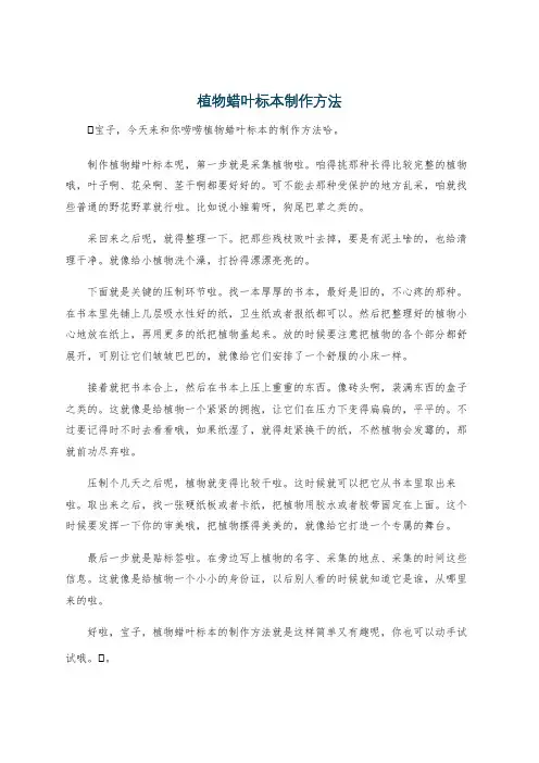 植物蜡叶标本制作方法