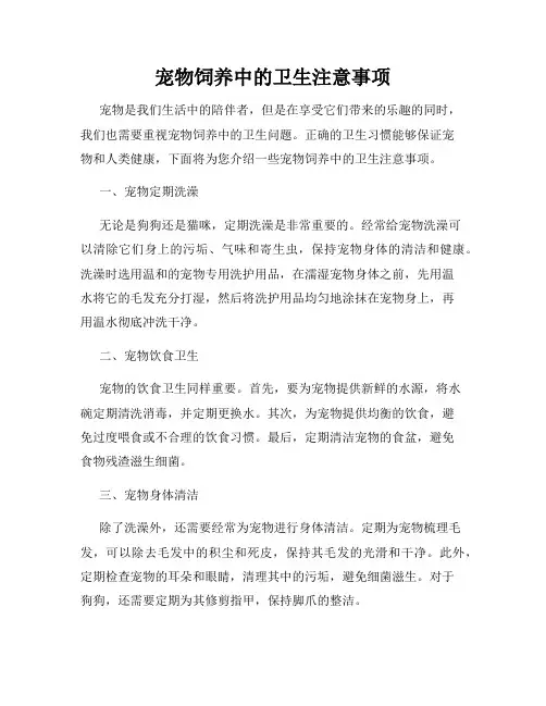 宠物饲养中的卫生注意事项
