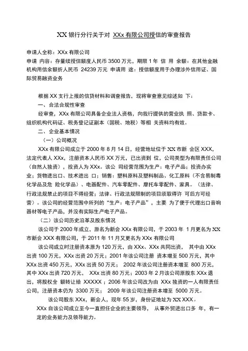 银行分行对公司授信的审查报告