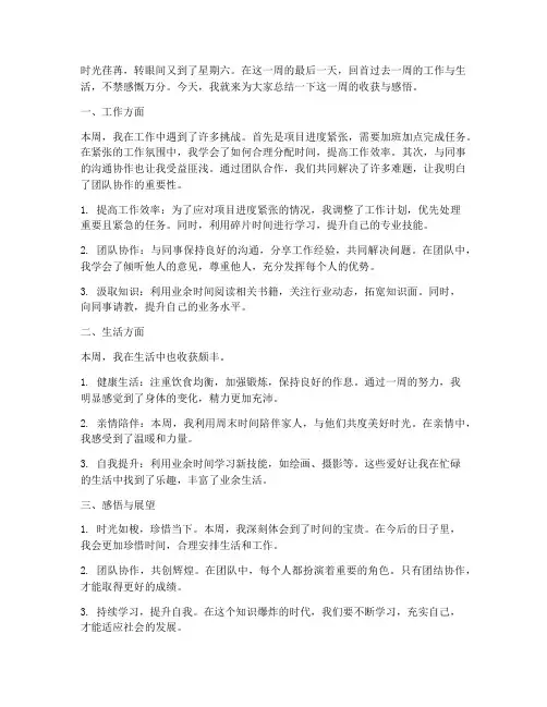 星期六总结范文