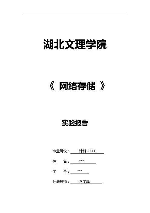 网络存储实验报告