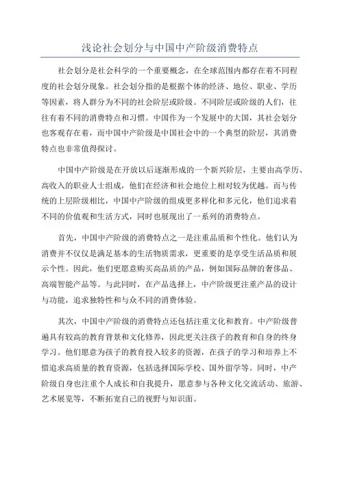 浅论社会划分与中国中产阶级消费特点