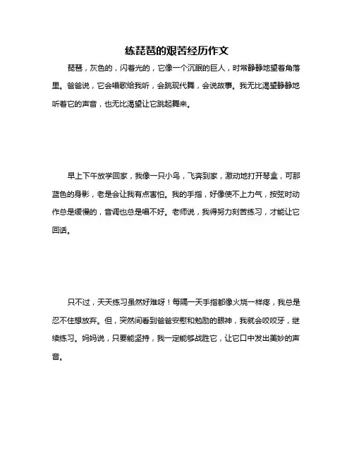 练琵琶的艰苦经历作文