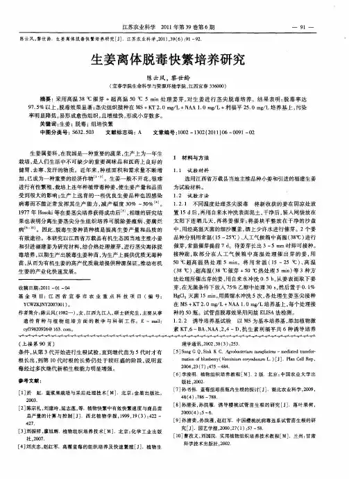 生姜离体脱毒快繁培养研究