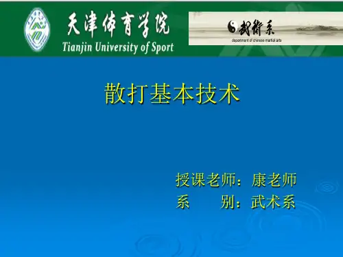 武术散打技术特征及要求