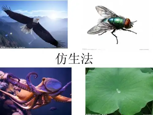 仿生法