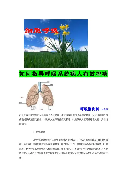 如何指导呼吸系统病人有效排痰