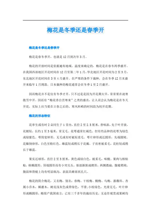 梅花是冬季还是春季开