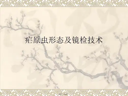 疟原虫形态及镜检技术