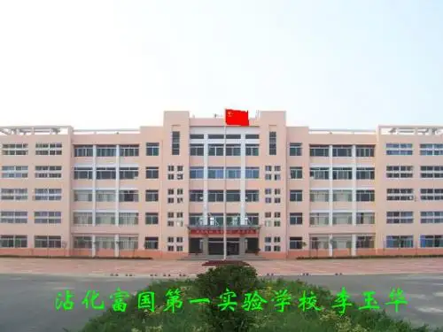 那树课件课件9