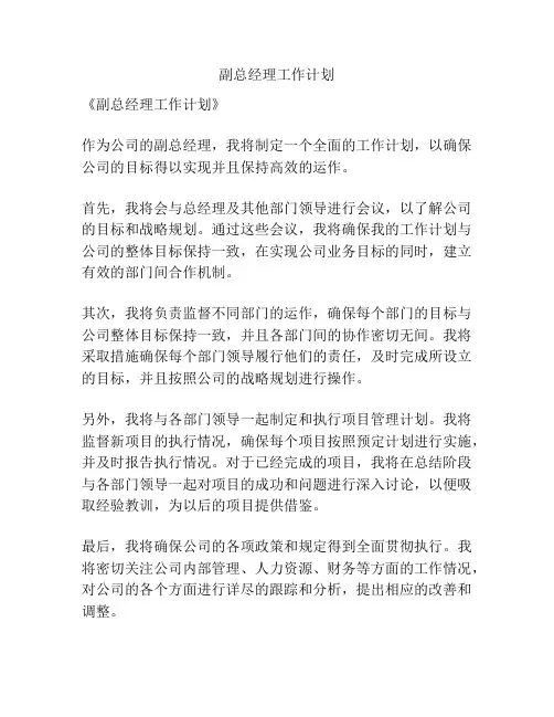 副总经理工作计划