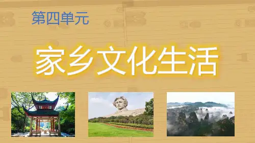 《家乡文化生活》ppt课件