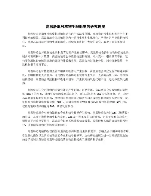 高温胁迫对植物生理影响的研究进展