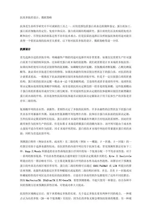 抗原多肽的设计、偶联策略
