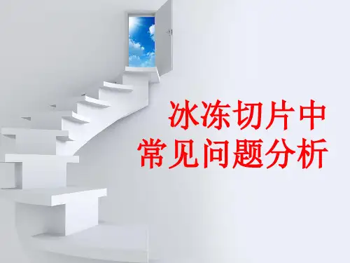 冰冻切片中常见问题分析ppt课件