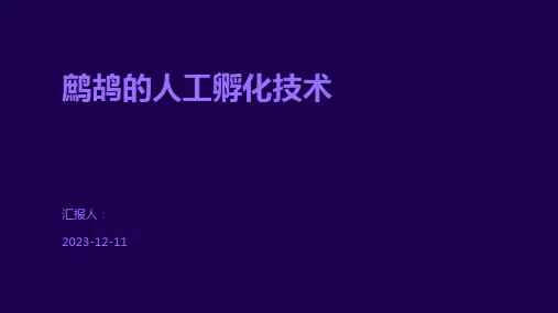 鹧鸪的人工孵化技术