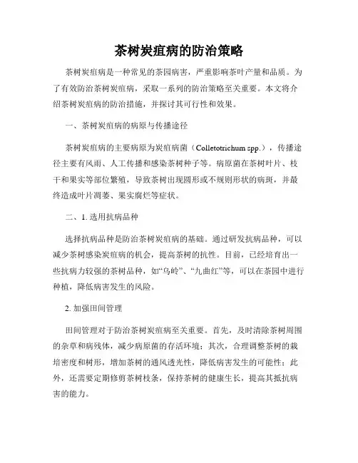 茶树炭疽病的防治策略