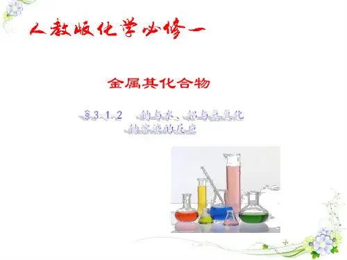钠与水、铝与氢氧化钠溶液的反应(课件)-2016-2017学年高一化学上册