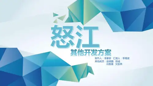 怒江水电开发其他方案(企业生产与运作管理作业1)