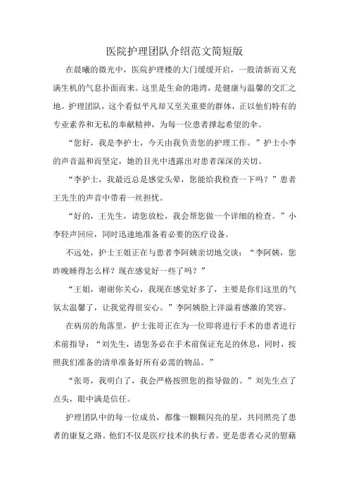 医院护理团队介绍范文简短版