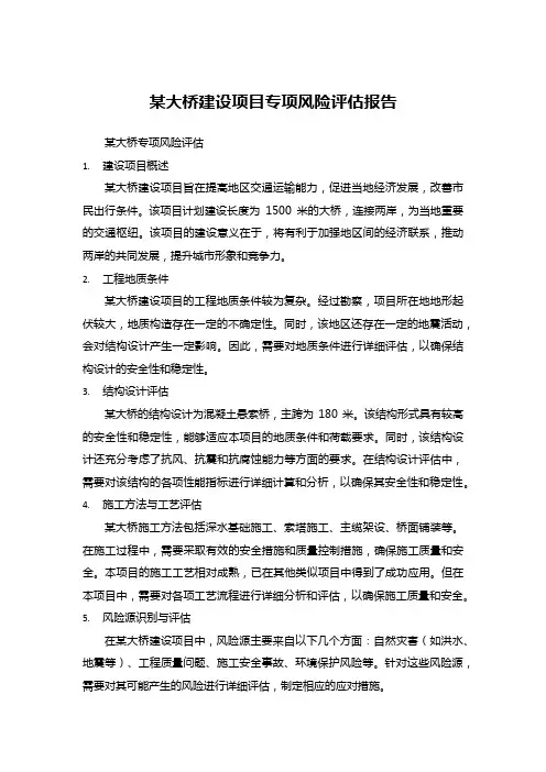 某大桥建设项目专项风险评估报告