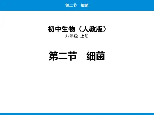 人教版八年级生物上册《细菌》PPT优质课件