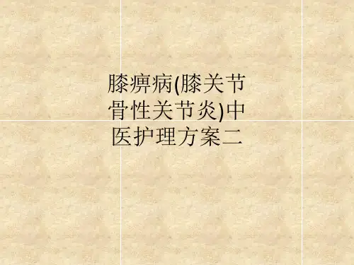 [医学]膝痹病(膝关节骨性关节炎)中医护理方案二