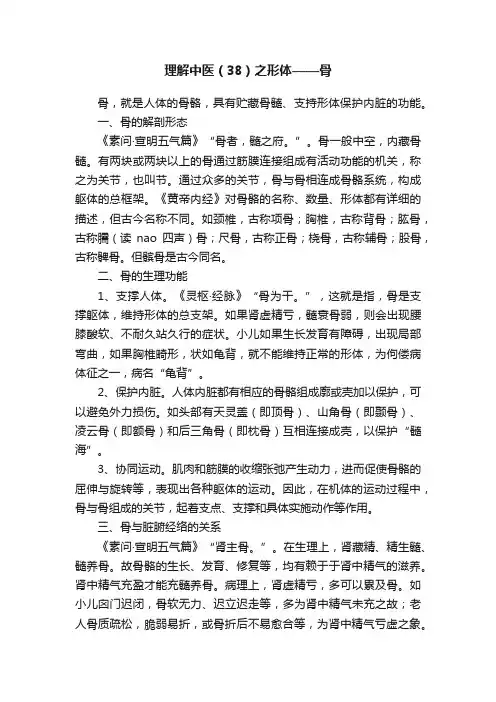 理解中医（38）之形体——骨